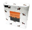 43390-8081 Skull Bones Cute Festive Dachshund Dogs In Pumpkin 798506551743