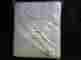 438122 Pottery Barn Sawyer Organic Sheet Set King 4 Pcs Surf Mist New 438122 Pottery Barn Sawyer Organic Sheet Set King 4 Pcs Surf Mist New