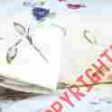 483024 Bedding Queen Floral Flannel Sheets Set Cotton Deep Pocket Printed Flower Bed Room New 769823483024 483024 Bedding Queen Floral Flannel Sheets Set Cotton Deep Pocket Printed Flower Bed Room New 769823483024
