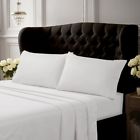 500eced4pssquwh Tribeca Living 500tc Egyptian