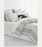 886087340631 Ralph Lauren Taylor Set Of Standard Pillowcases Cream