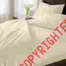 Cp49-002-072-01 8903062007524 Bhg 400 Thread Eqyptian Cotton Sheet Set King Ivory