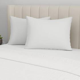 40448amzsc Aller-ease Allerease Cotton Fresh Pillow King - 2 Pack White 40448amzsc Aller-ease Allerease Cotton Fresh Pillow King - 2 Pack White