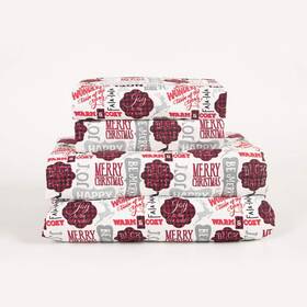 Aubrie Home Accents 759992762433 4-piece Holiday Notes Christmas Sayings Winter Deep Pocket Microfiber Bed She