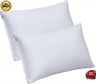 B01do8gvha Branded Pack White King Size Cotton Pillow Case 754207388972