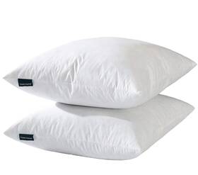 Bh17fin02 Basic Home 26x26 Euro Throw Pillow Inserts-down Feather White