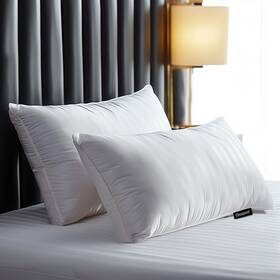 Beautyrest 788904923808 Luxury Goose Feathers Down Pillows Queen Pack Of 2 White