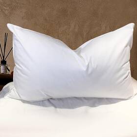 Yrz-1 Bhz 20x28-2 Goose Down Feather Pillows Queen Size - Hotel Pack Of 1 White