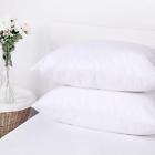 D1gyprkvlj Dreamaker Pack Zippered Pillow Protector King Size Stain 606345622589