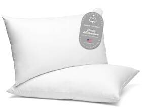 B012p5qcq8 Digital Decor Fba 100% Cotton Luxury Hotel Standard Pack Of 2 Silver / Soft B012p5qcq8 Digital Decor Fba 100% Cotton Luxury Hotel Standard Pack Of 2 Silver / Soft