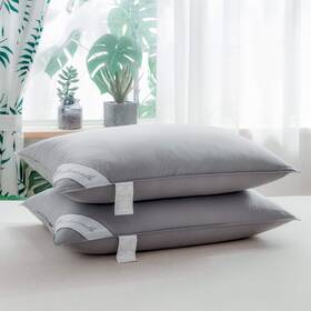 Eastwarmth 602299712529 Goose Down And Feather Pillows Soft Standard Pack Of 2 Grey