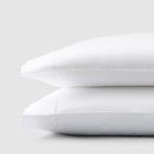 Giotto 734 Sferra Standard Pillowcase 780870010278