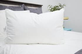 41333 Ihg Featherbest Queen Soft Pillow Featured At Hotels Free Pillowcase 41333 Ihg Featherbest Queen Soft Pillow Featured At Hotels Free Pillowcase