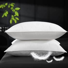 Ivellow 738068007890 White Goose Feather Standard/queen Pack Of 2 -20 Inch X 26 Ivellow 738068007890 White Goose Feather Standard/queen Pack Of 2 -20 Inch X 26