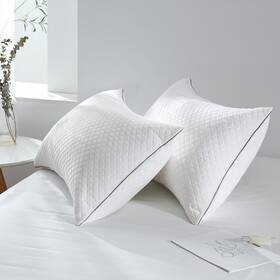 J-sjrbp2-s Jollyvogue Pillows Standard Size Set Of 2 Oeko-tex Certified White