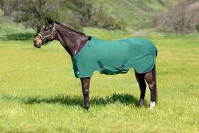 721c-75-a Kensington Poly Cotton Stable Sheet Surefit 75ftft Hunter Green