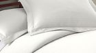 8422958 Kids Set 200tc Purple Pottery Twin 3-piece White Sheet Brooklyn Barn