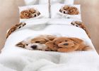 Dm488t Piece Duvet Mela Size Dolce Cotton Cover Xl Set 4 Sheet Twin 100 Doggies Dm488t Piece Duvet Mela Size Dolce Cotton Cover Xl Set 4 Sheet Twin 100 Doggies