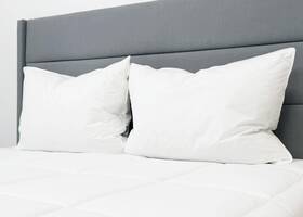 Pillowtex 812362038641 Conformance Supreme Pillow Standard White