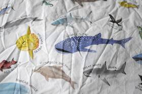 6291742 Pottery Barn Kids Save Our Seas Ocean Animals Whale Full Fitted Sheet Cotton 6291742 Pottery Barn Kids Save Our Seas Ocean Animals Whale Full Fitted Sheet Cotton