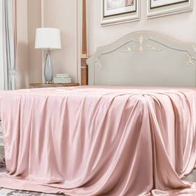 Fl-0123-pkfl1 Promeed 23 Momme Mulberry Silk Flat Sheet Full Size 6a Top 1pc 1400tc