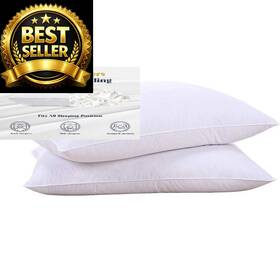 Bk4586 Puredown Goose Feathers And Down White Standard Pack Of 2 Classic