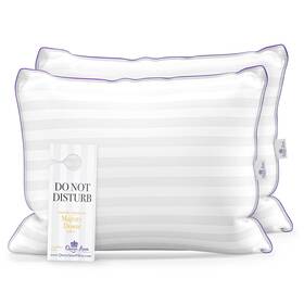 Queen Anne 633131893809 Hotel Collection Pillows Luxury Down Pack Of 2 Purple