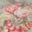 28828 Ralph Lauren Pair Of Rare Rl Charlotte Floral King Pillowcase Pillow Case 38679