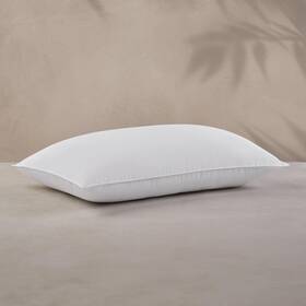 B008cim52i Sobel Westex Standard Size - Dolce Notte Bed Pack Of 1 White B008cim52i Sobel Westex Standard Size - Dolce Notte Bed Pack Of 1 White
