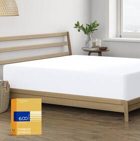 Thread Spread 8904429516031 Twin Xl Fitted Sheet Only - 100% Egyptian Cotton White