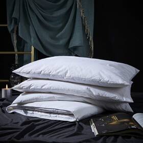 Three Geese 707870842029 Queen/standard Pack Of 1 White -adjustable Pillow 1.0