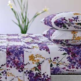 Seren110shequ Tribeca Living Azores Home Serena Printed Deep Pocket Sheet Set King Multico Seren110shequ Tribeca Living Azores Home Serena Printed Deep Pocket Sheet Set King Multico