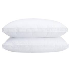 Vendare 753980107183 Set Of 2 Standard Size Down Pillows - Pack White