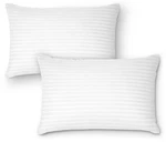 Dreamnorth Premium Gel Pillow Loft, Plush Soft Bed 2 Pack, Standard Size. Fixed Price $29.49.