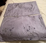 2/ Set Calvin Klein Dusk Wildflower Standard Pillowshams Pillowcases Nwot. Fixed Price $66.99.