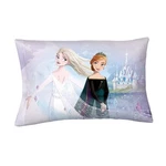 Disney Frozen Reversible Standard Size Pillowcase, 20 In X 30. Fixed Price $14.45.