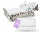 Blissford - 2 Pack Fitted Hospital Bed Sheets With Elastic All Around Cotton. Fixed Price $17.99.