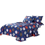 Wpm 3 Piece Blue Twin Size Set With Flat And Fitted Sheets, Pillow Sham. Foot.... Fixed Price $36.45.