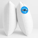 Classic Bedding Stripe Pillows Queen King Size Washable Pack Of 2 Hotel Quality. Fixed Price $19.99.