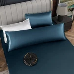 Homiest Satin Pillow Cover, Deep Sea Body, 20 X 54 Inch, Blue. Fixed Price $9.76.