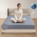 Klaslav Queengrounding Sheetsilver Fibergrounded Bed. Fixed Price $101.41.