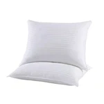 Vw Signature 2-PIECE White T400 Cotton Standard Utility Pillows. Fixed Price $35.40.