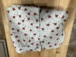 Plow & Hearth: Ice Skating Flannel Sheet Set (twin). Fixed Price $15.00.