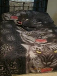 Jessy 3D 4PC Queen Bedding Set Leopard DUVET,1 Flat Sheet, 2 Pillow Sham. Fixed Price $29.99.