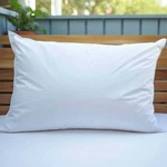 Pristine Luxury Pillow Cover. Fixed Price $34.03.
