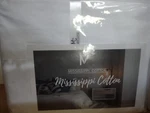 Mississippi 1000 Thread Count Cotton King Sheet Set. Fixed Price $94.99.