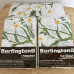 Burlington Lustersoft Queen Fitted Sheet 4 Pillowcases Green Floral Daisy Vintag. Fixed Price $49.00.