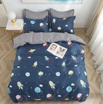 5 Pieces Bedding Set Polyester Simple Luxury Quilt Cover 240X220 Double Twin. Fixed Price $20.00.