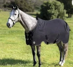 Kensington Protective Products Poly Cotton Stable Sheet Horse 75 Black. Fixed Price $119.99.