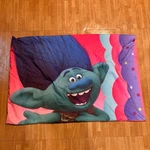 Dreamworks Trolls Double Sided Poppy Branch Kids Bedding. Fixed Price $9.00.